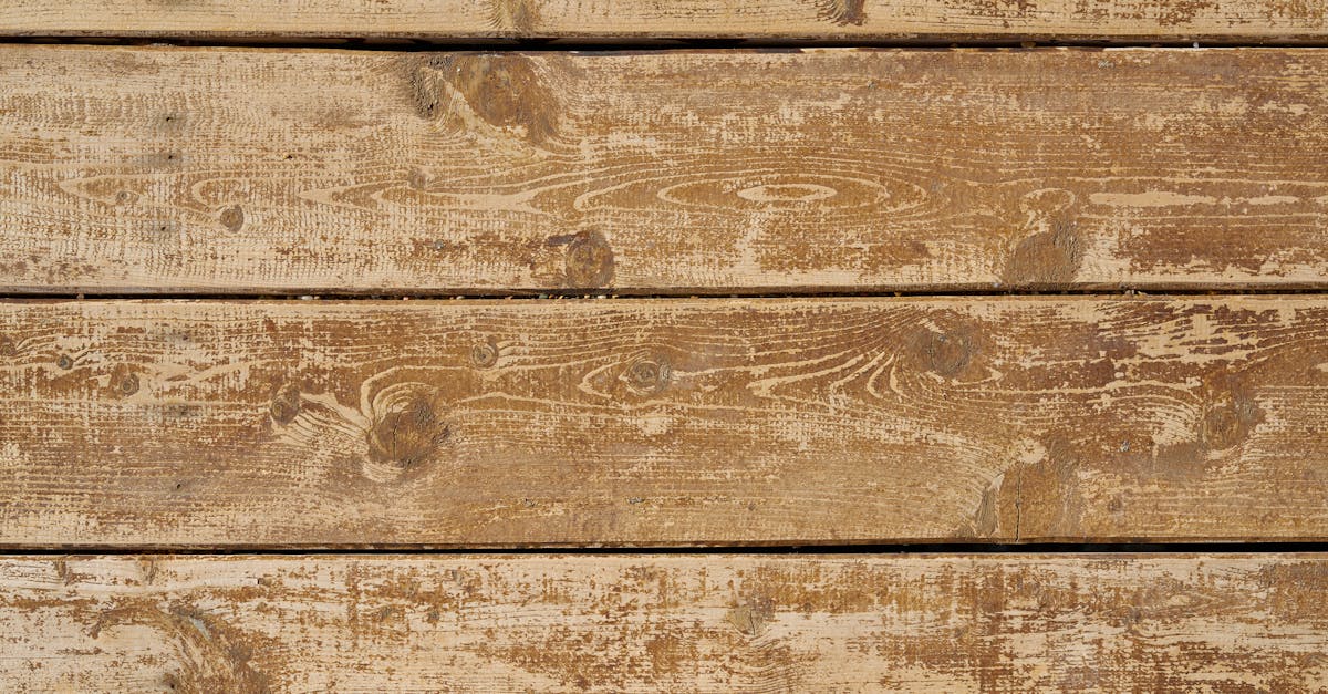 pexels-photo-1568757